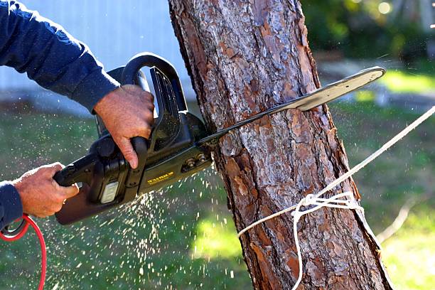 Lawn Maintenance Plans in Broadview Heights, OH